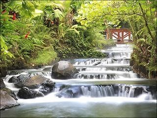 Tabacon Grand Spa Thermal Resort 阿雷纳尔 外观 照片